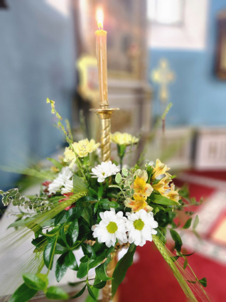 Image gallery