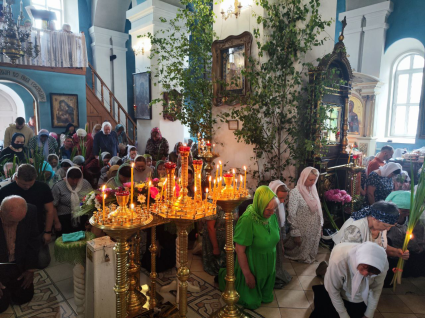 Image gallery