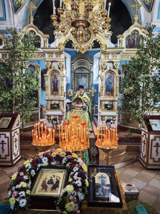 Image gallery