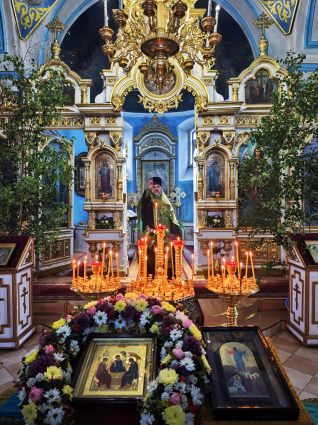 Image gallery